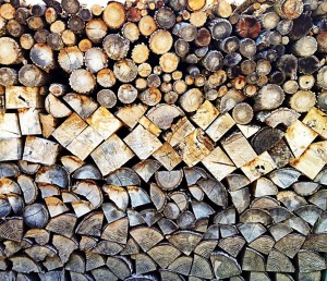 catasta di legno - foto Ilaria Menotti
